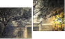 Diptych