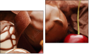 Diptych