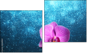 Diptych