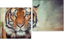 Diptych