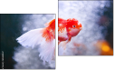 Diptych