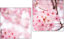 Diptych