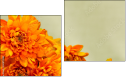 Diptych