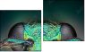Diptych