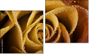 Diptych