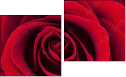 Diptych