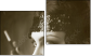 Diptych