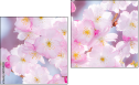 Diptych