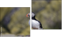 Diptych