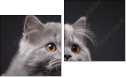 Diptych