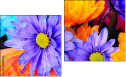 Diptych
