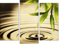 Triptych