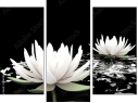 Triptych