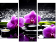 Triptych