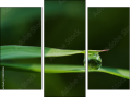 Triptych