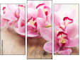 Triptych