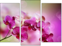 Triptych