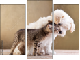 Triptych