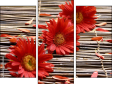 Triptych