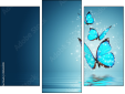 Triptych