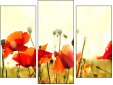 Triptych