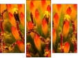 Triptych