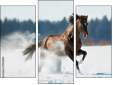Triptych