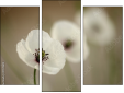 Triptych