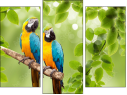 Triptych