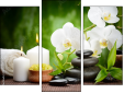 Triptych