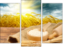 Triptych