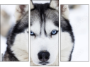 Triptych