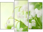 Triptych
