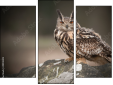 Triptych