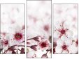 Triptych