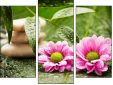 Triptych