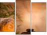 Triptych