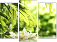 Triptych