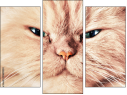 Triptych