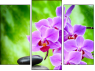 Triptych