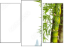 Triptych