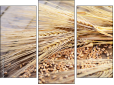 Triptych