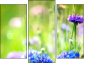 Triptych