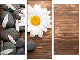 Triptych