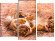Triptych