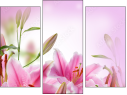 Triptych