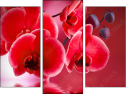 Triptych
