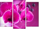 Triptych