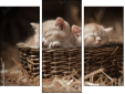 Triptych
