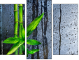 Triptych